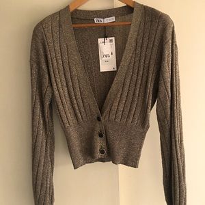 Zara Metallic Sweater